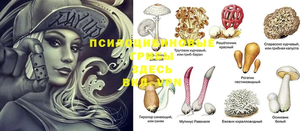 эйфоретик Армянск