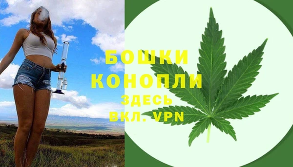 твердый Аркадак