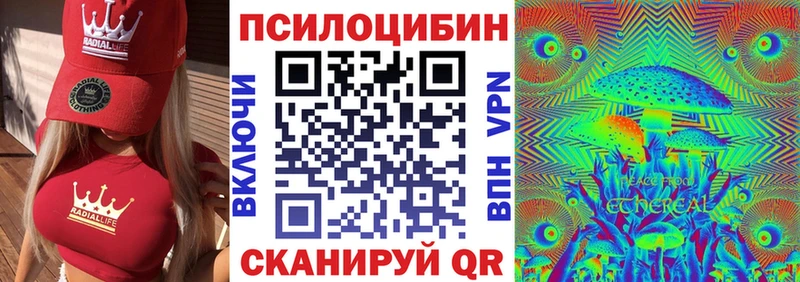 как найти наркотики  Снежногорск  Псилоцибиновые грибы Psilocybe 